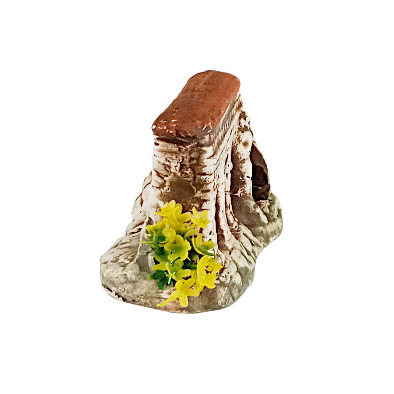 ruiny z sadzonką.jpg